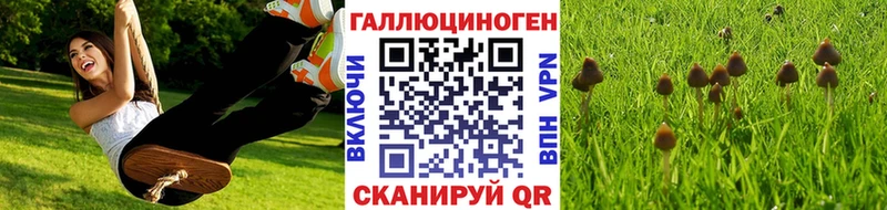 цены наркотик Каспийск маркетплейс какой сайт Галлюциногенные грибы Psilocybine cubensis